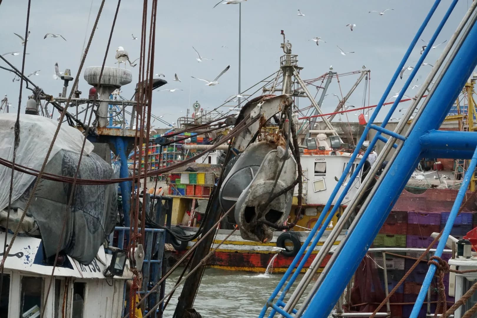 Traditional blue fishing boats in the port of Essaouira