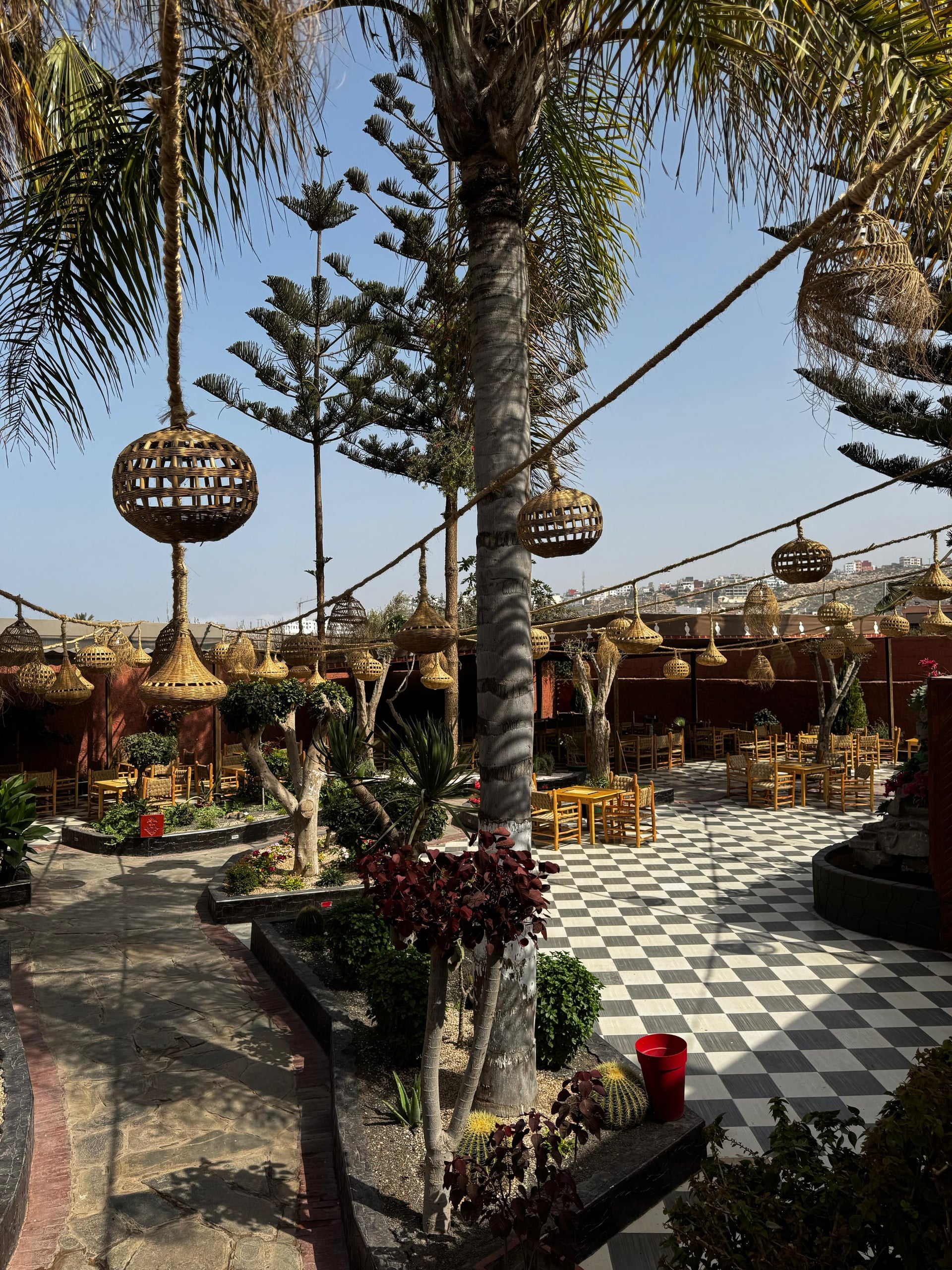 Restaurant Bab Aourir sunlit palm courtyard terrace with wicker pendant lanterns